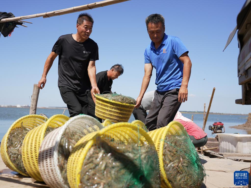开户就送体验金
